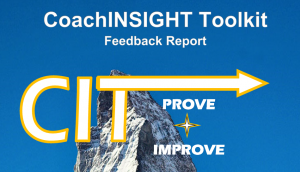 Read more about the article Does Coaching For Impulse Control Work?