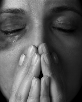 Domestic Violence Facilitator Certification