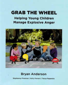 GRAB THE WHEEL